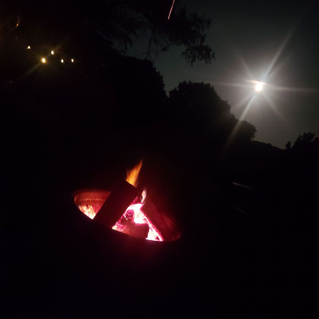 Mugwort, Mimosa, and the Skunk Who Blessed the&nbsp;Circle