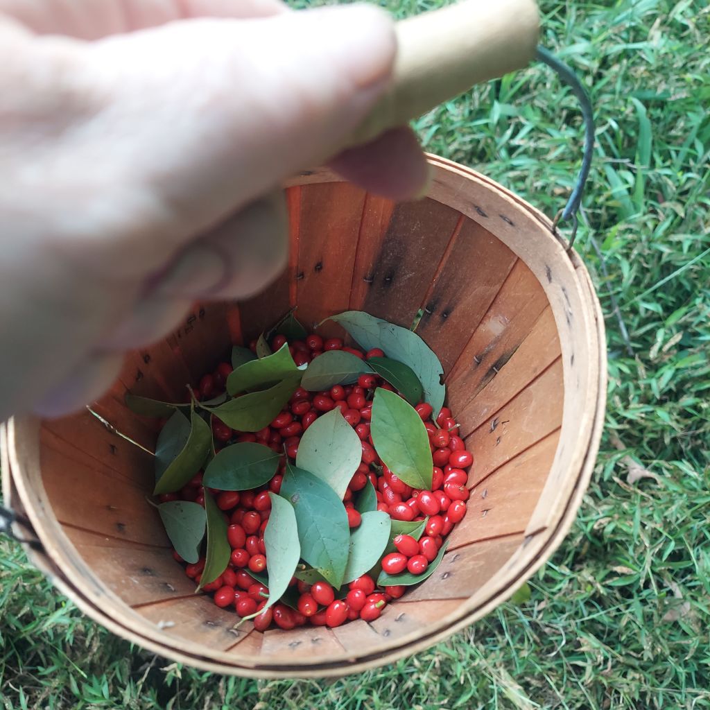 Little Things, Big&nbsp;Light