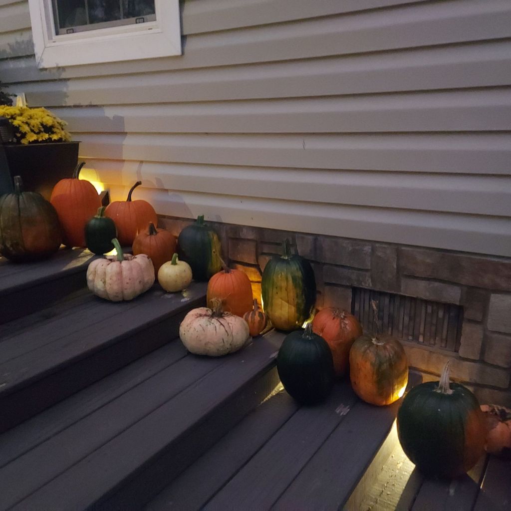 Corncobs In My&nbsp;Britches