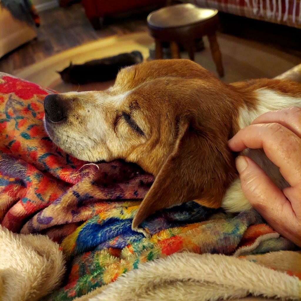 Sunset On A Rainy&nbsp;Day