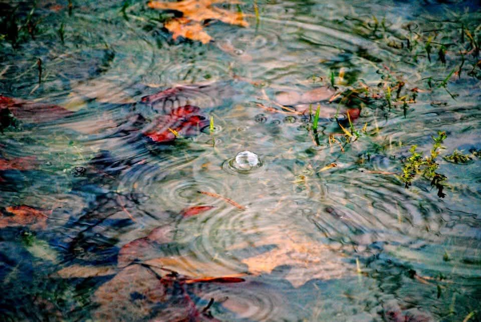 Water Knows My&nbsp;Name