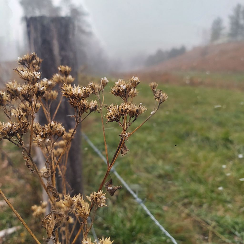 Part Three: The Preacher’s Wife