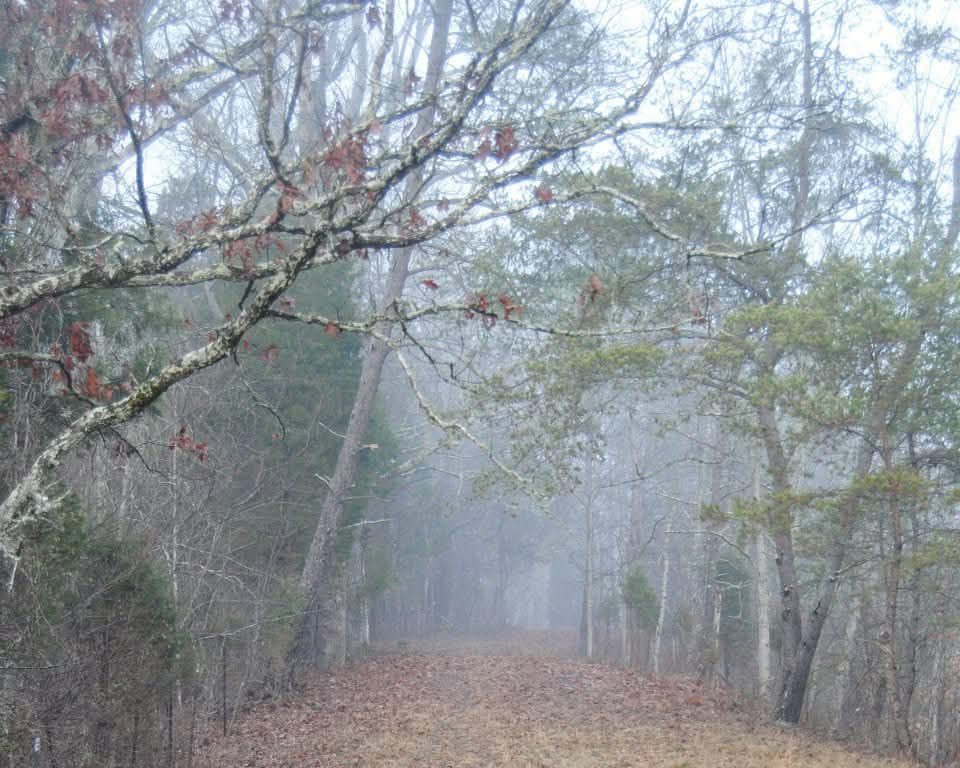 Granny Remembering Enna&nbsp;Mae