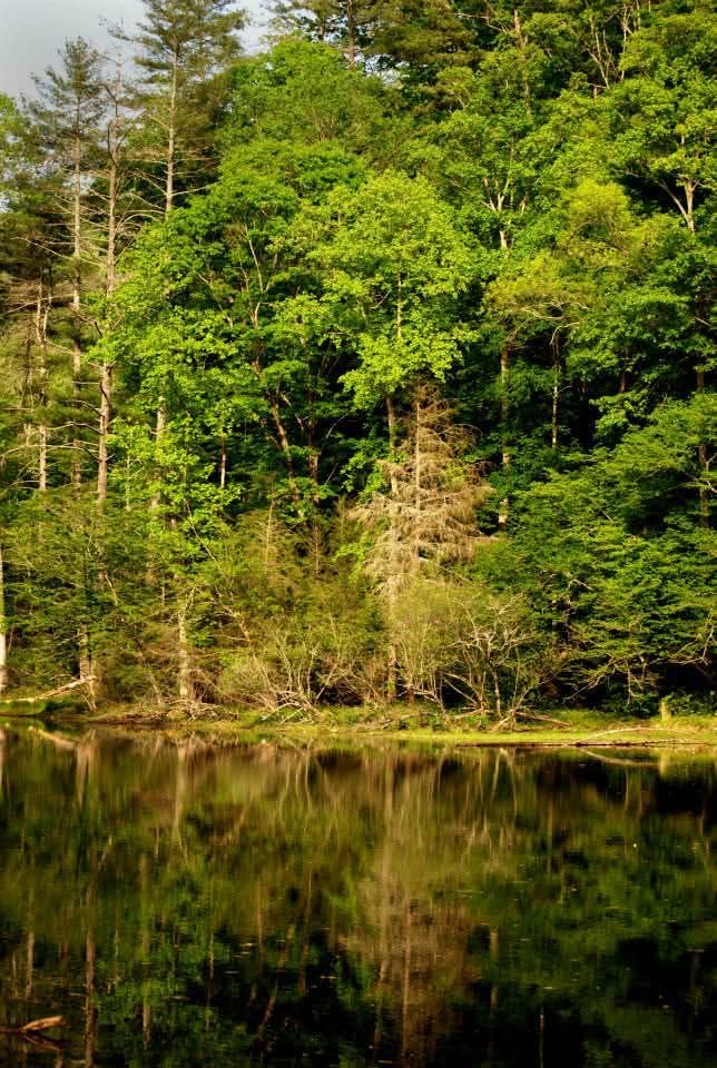 Part 7: The Night The Holler Remembered Her&nbsp;Name