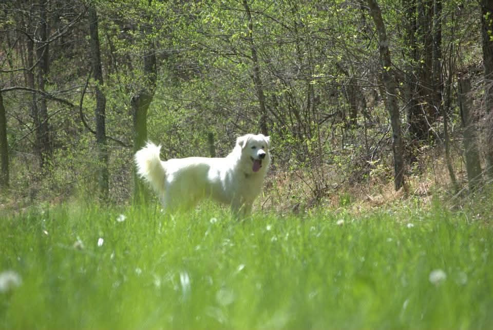 Part 10: The Little&nbsp;Hale