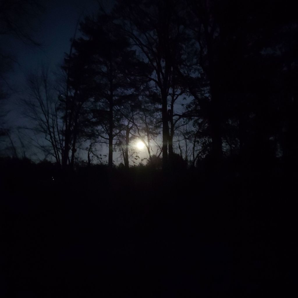 Part 13: When Poppy Stops Hearing And Starts Listening