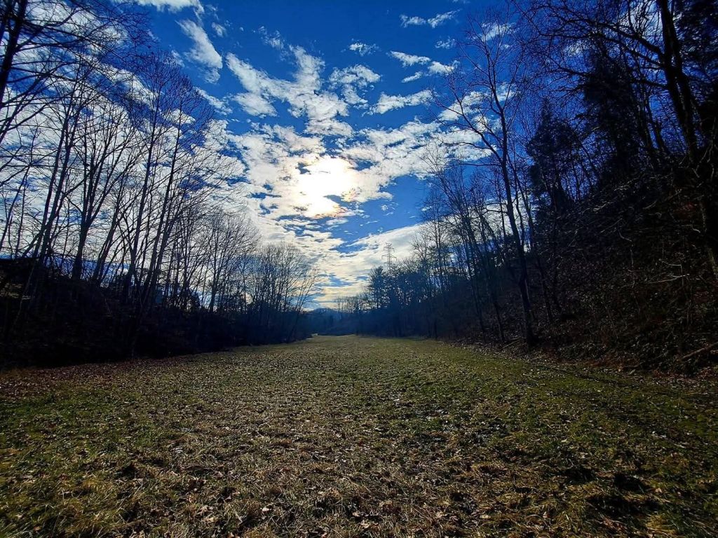 Part 15: Poppy Listens