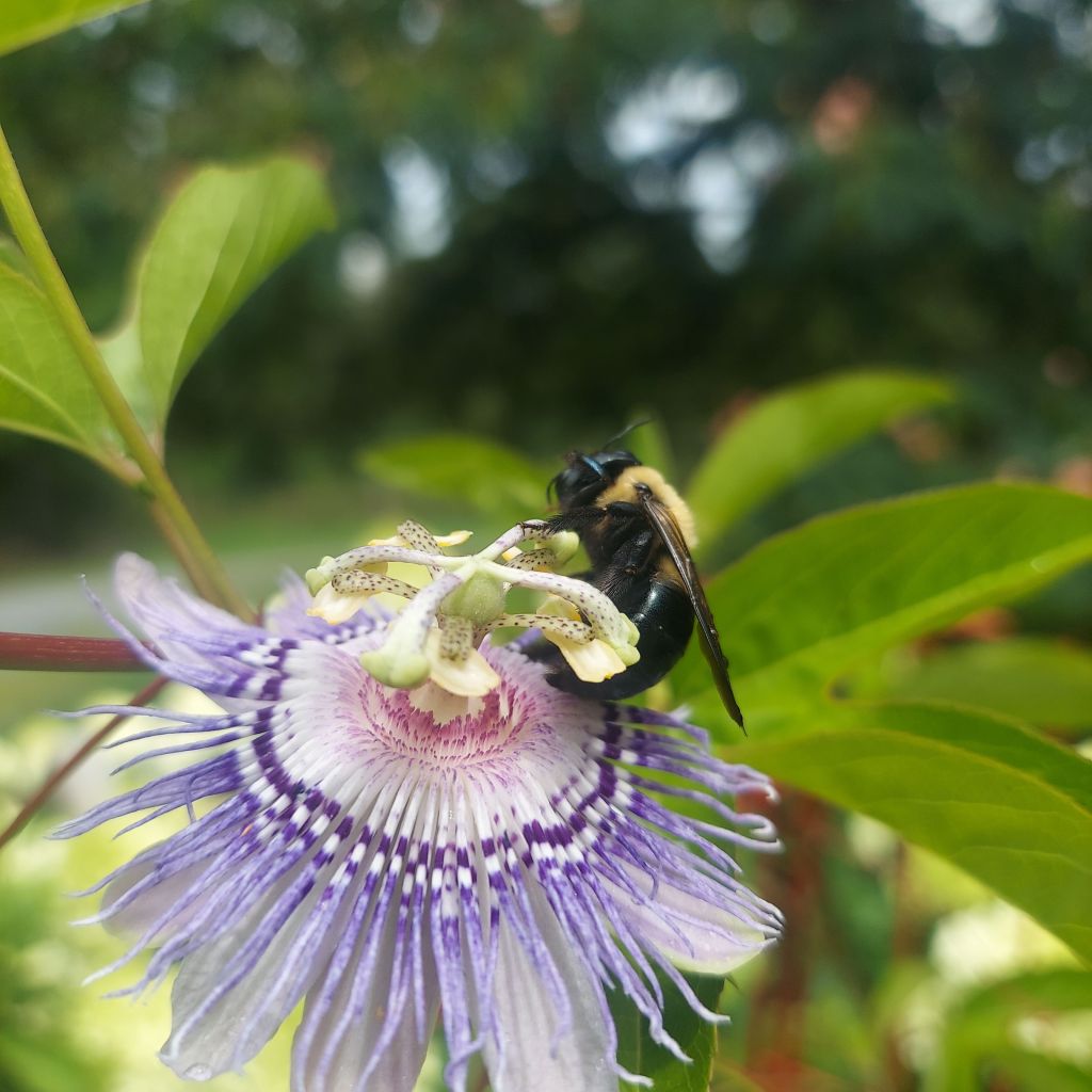 Sometimes A Granny Gotta Preach